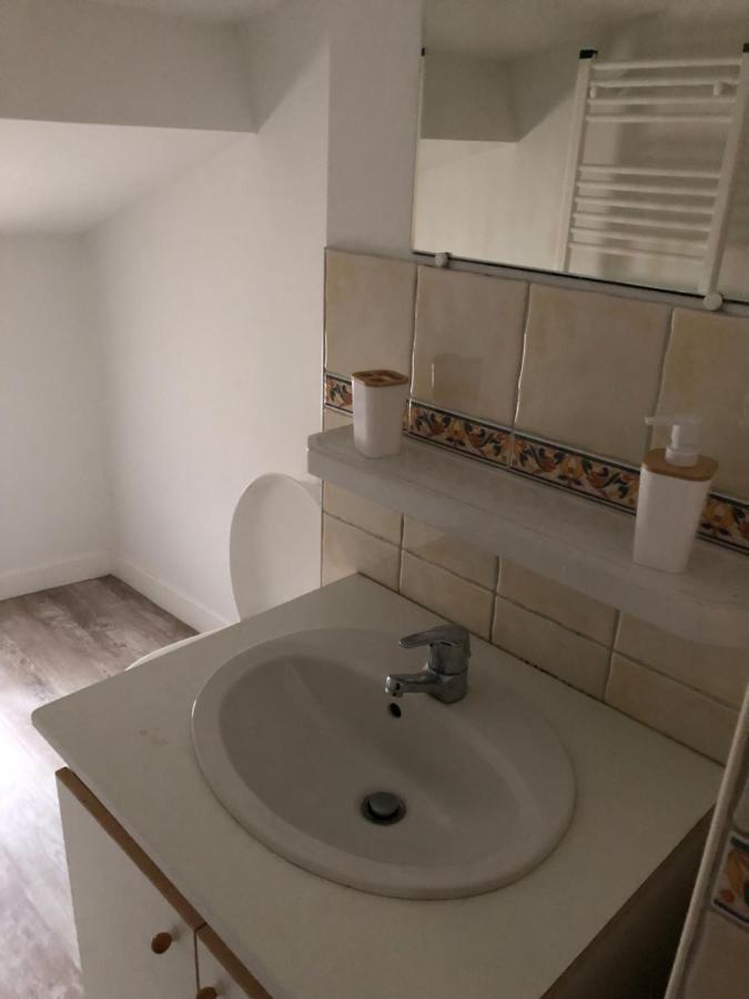 Appartement Cosy Et Lumineux Caussens Eksteriør billede