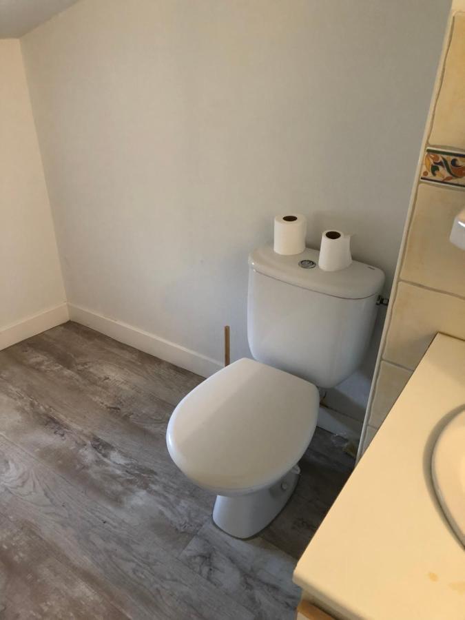 Appartement Cosy Et Lumineux Caussens Eksteriør billede